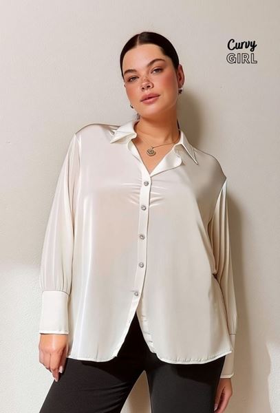 Picture of CURVY GIRL ELEGANT SATIN BLOUSE